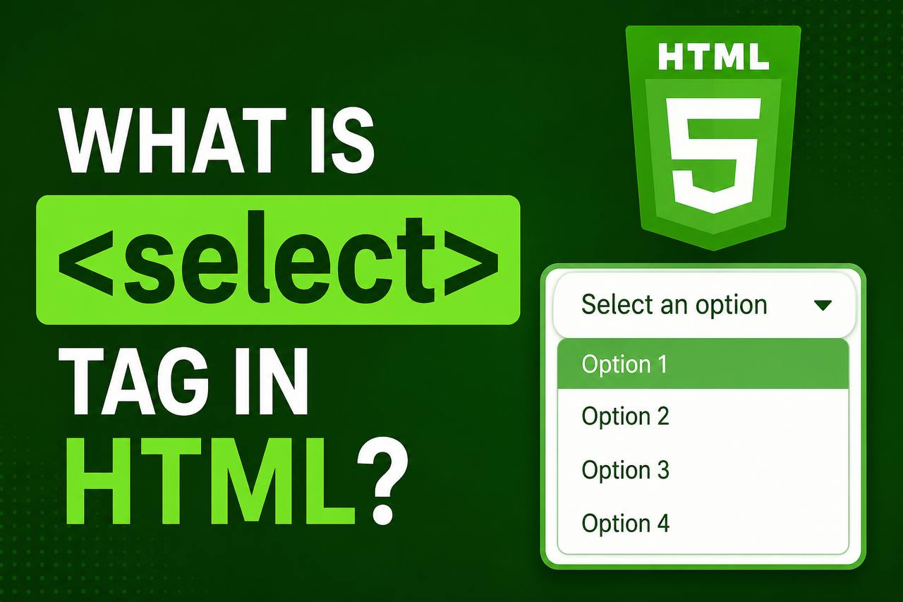 What is the tag in HTML?