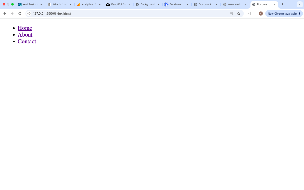 What is the li Tag in HTML?