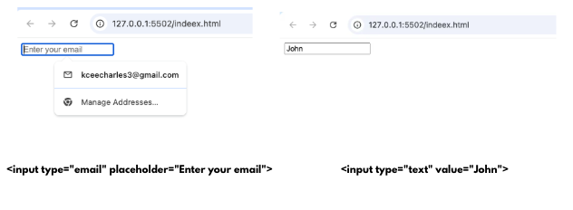 HTML placeholder vs value: What's the Difference? Screenshot Comparing an HTML Input With placeholder and Another Input With value