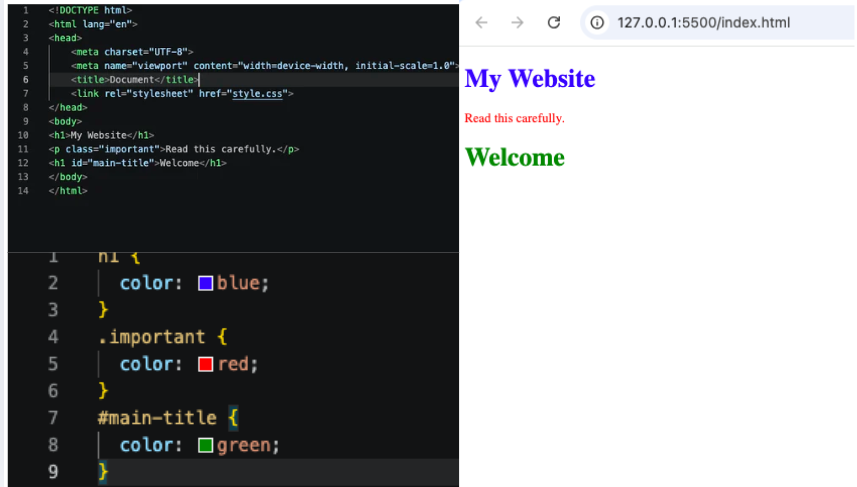 CSS Selectors Explained for Beginners