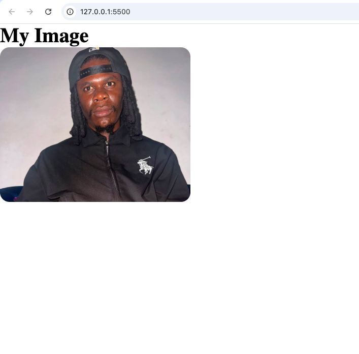 How to Make an Image Rounded With CSS browser showing the image at approximately 300 pixels wide, with visibly curved corners created by border-radius: 15px.