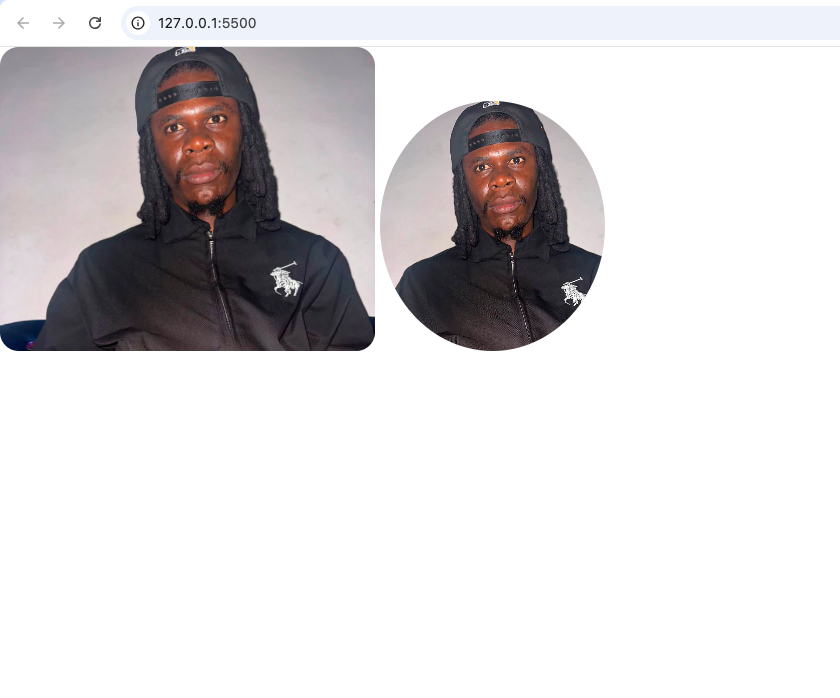 How to Make an Image Rounded With CSS browser image screenshot showing the difference between an image with slightly rounded corners and one that has a circular shape.